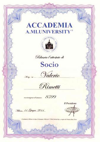 socio ami university